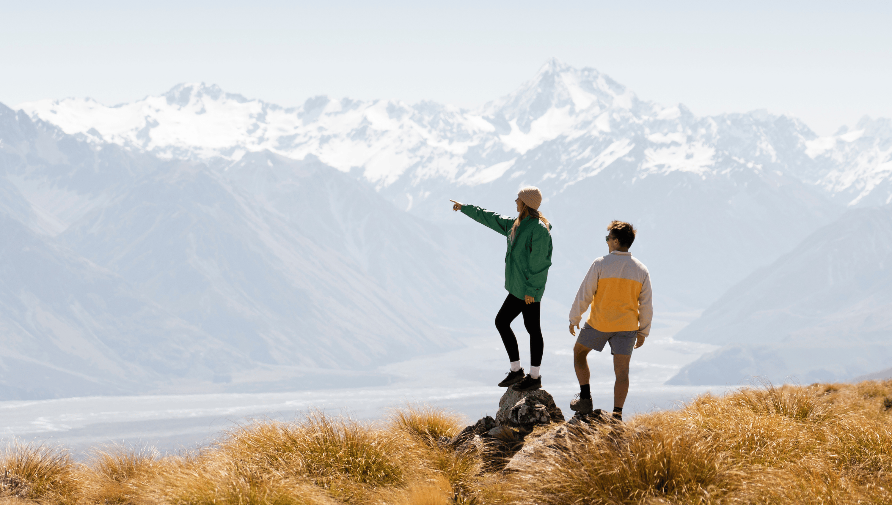 Dog looking at stream and waterfall in New Zealand