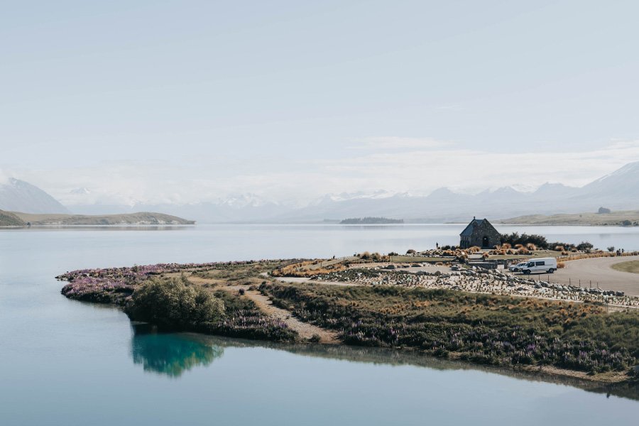 Roady at Lake Tekapo