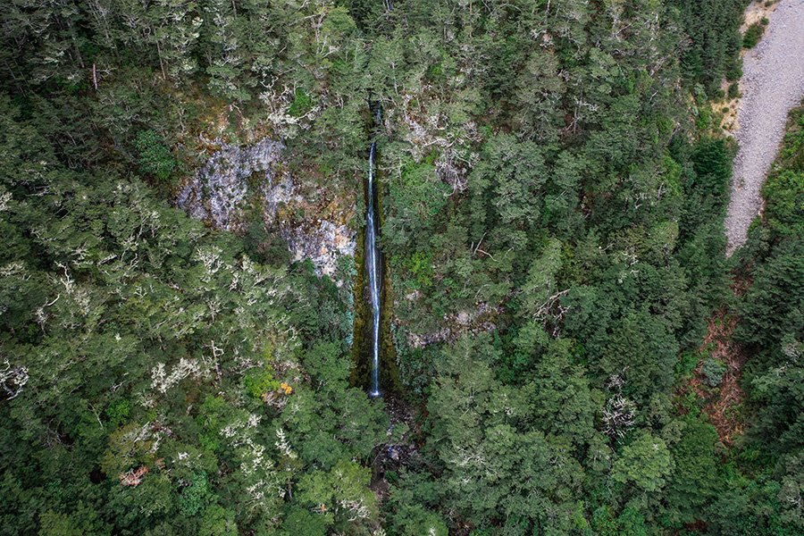 Dog stream waterfall drone shot