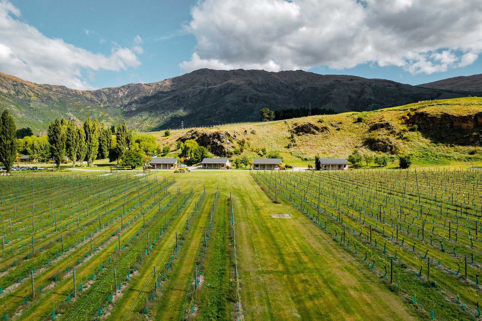 win a trip to queenstown